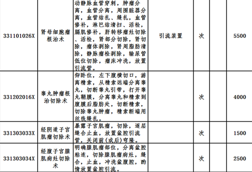 廣州中醫藥大學金沙洲醫院新增醫(yī)療服務價格項目收費一覽表